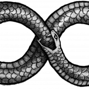 Ouroboros PNG Picture