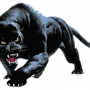 Panther PNG