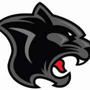 Panther PNG File