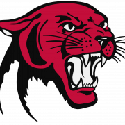 Panther PNG Picture