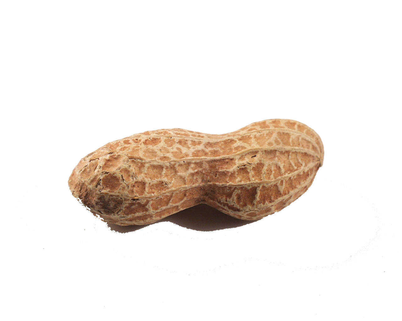 Peanut PNG Clipart