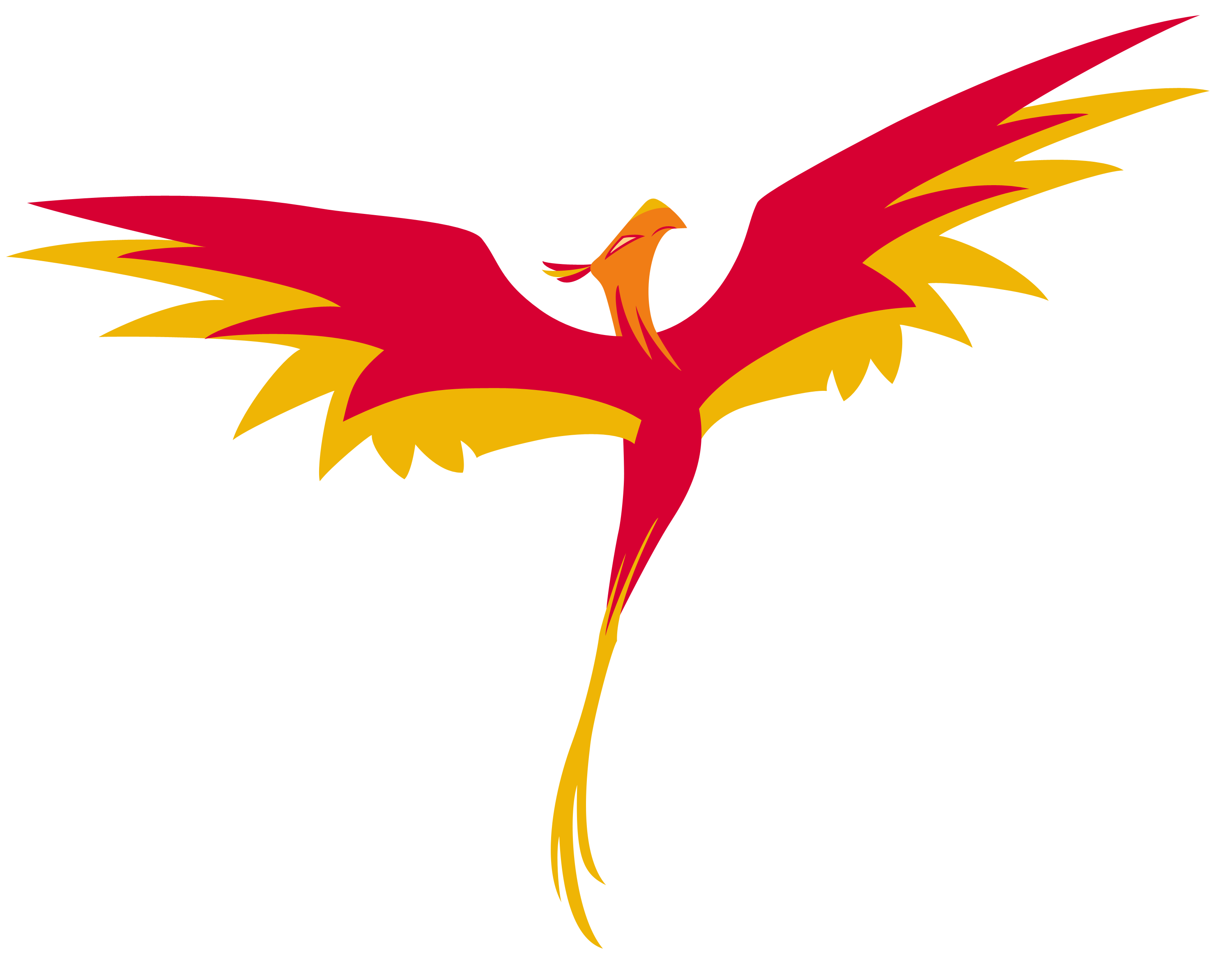 Phoenix PNG Bild