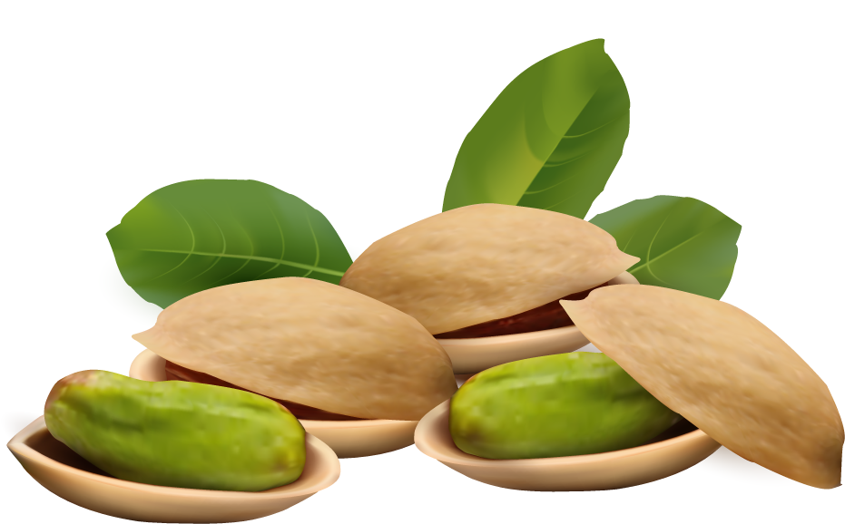 File png pistacchio