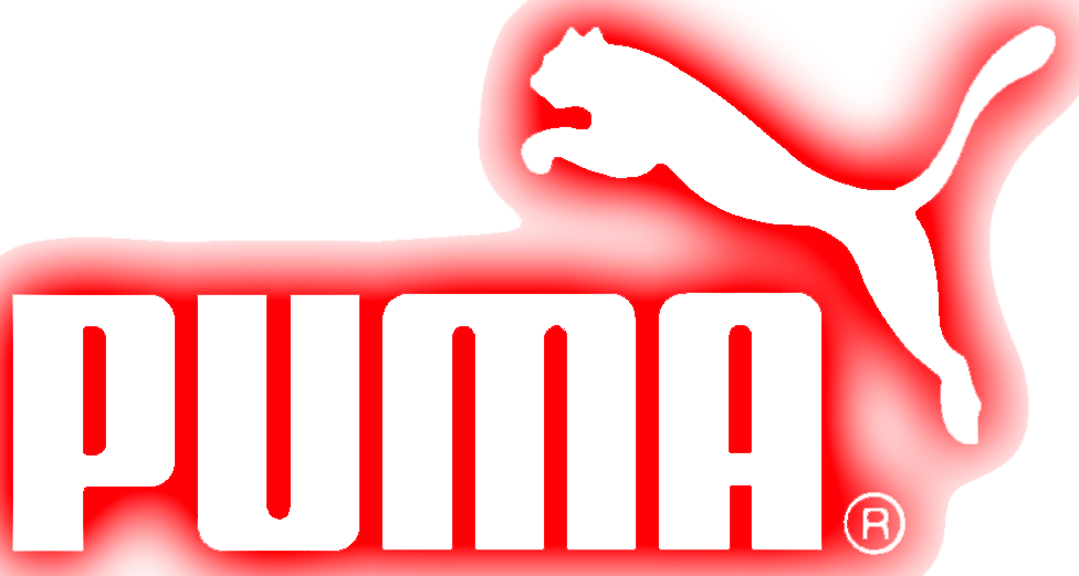 Unforeseen circumstances Clean the floor sector Puma Logo - PNG All