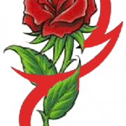 Rose Tattoo Download PNG