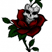 Rose Tattoo PNG Picture
