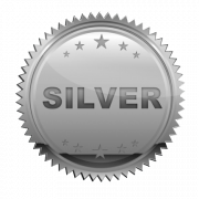 Silver Download gratuito PNG