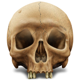 Immagine PNG del cranio
