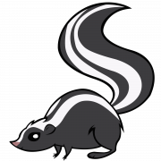 Skunk PNG Clipart