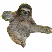 Sloth Free PNG Image