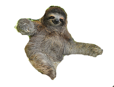 Sloth Free PNG Image