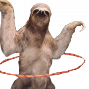 Sloth PNG HD