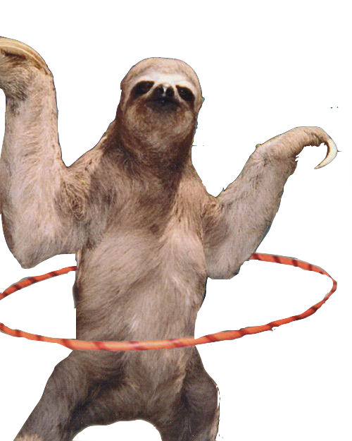 Sloth Png HD