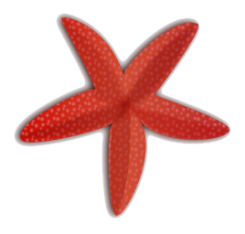 Starfish Download gratuito PNG