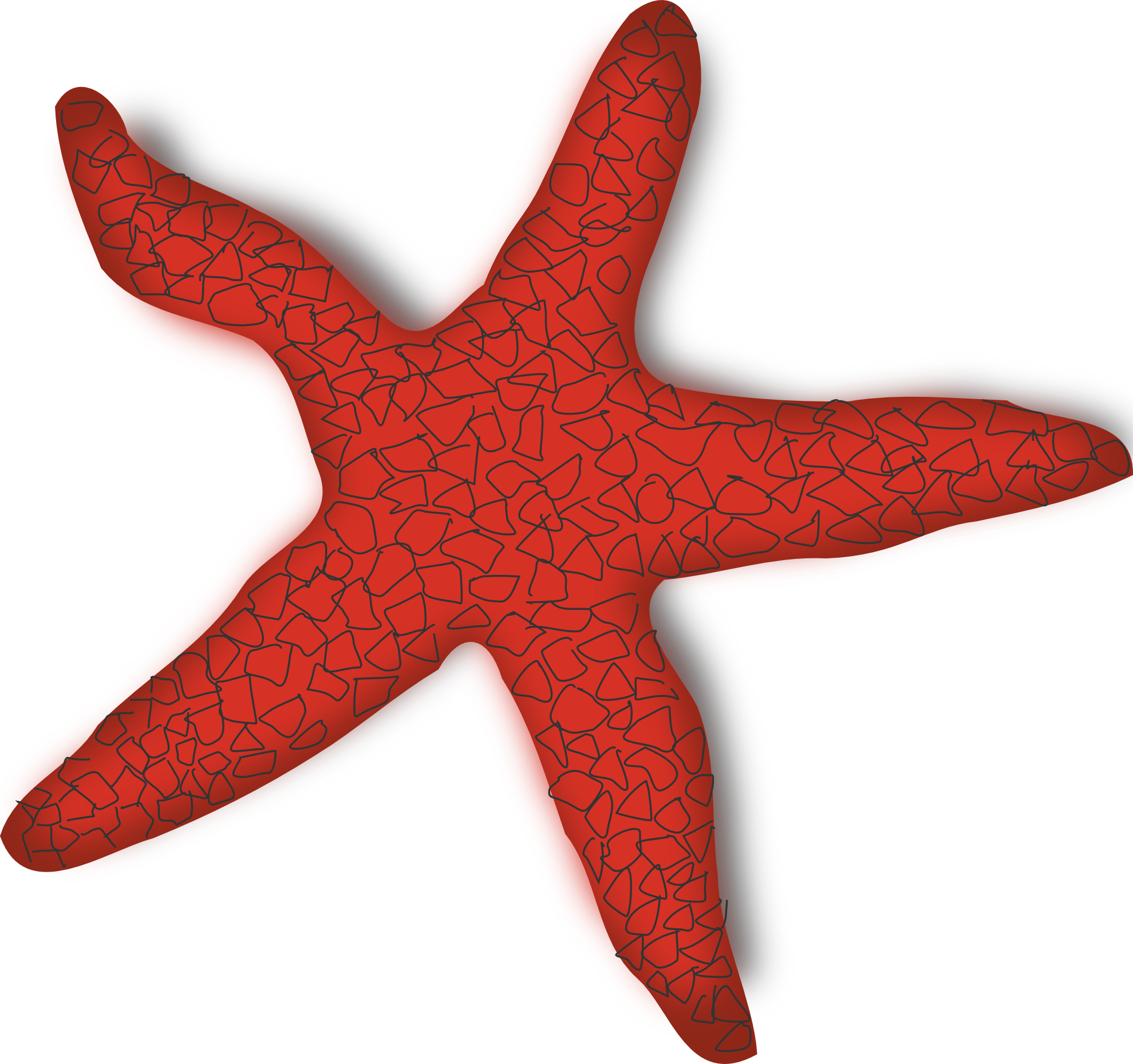 Starfish PNG File