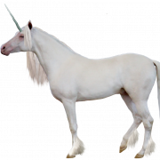 Unicorn PNG -afbeelding
