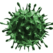 فيروس PNG قصاصات فنية
