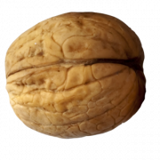 Walnut PNG Picture