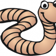 Worms PNG File