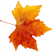 Autumn Free PNG Image