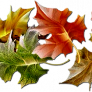 Autumn PNG HD