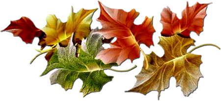 Autumn PNG HD