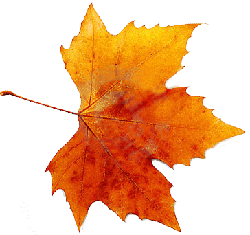 Autumn PNG Picture