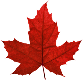 Canada Leaf PNG File