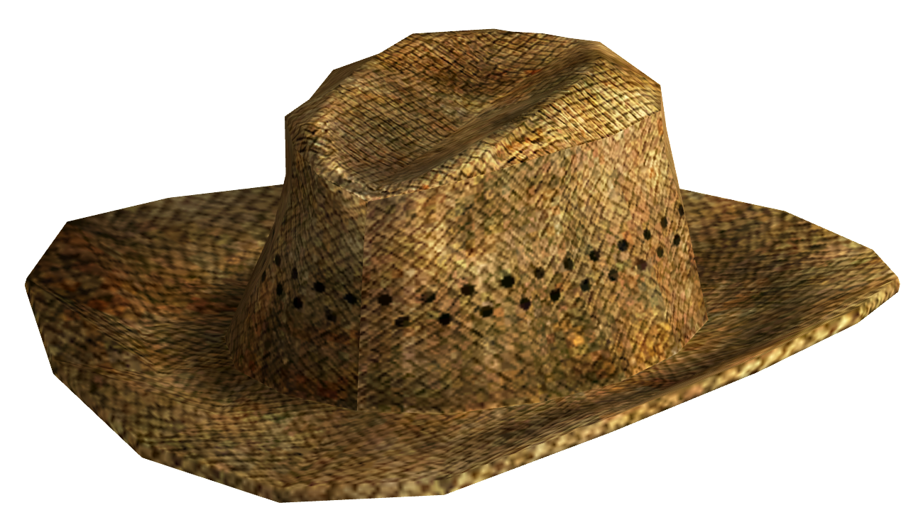 Cowboy Hat Téléchargement gratuit PNG