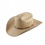 Chapéu de cowboy transparente