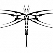 Dragonfly Tattoos Transparent