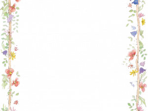 Flowers Borders Download PNG