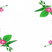 Flowers Borders Free Download PNG