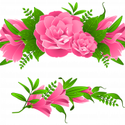 Bloemen randen gratis PNG -afbeelding