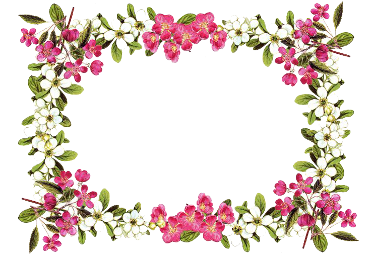Flowers Borders PNG Clipart