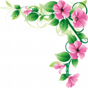 Цветы граничат с изображением PNG
