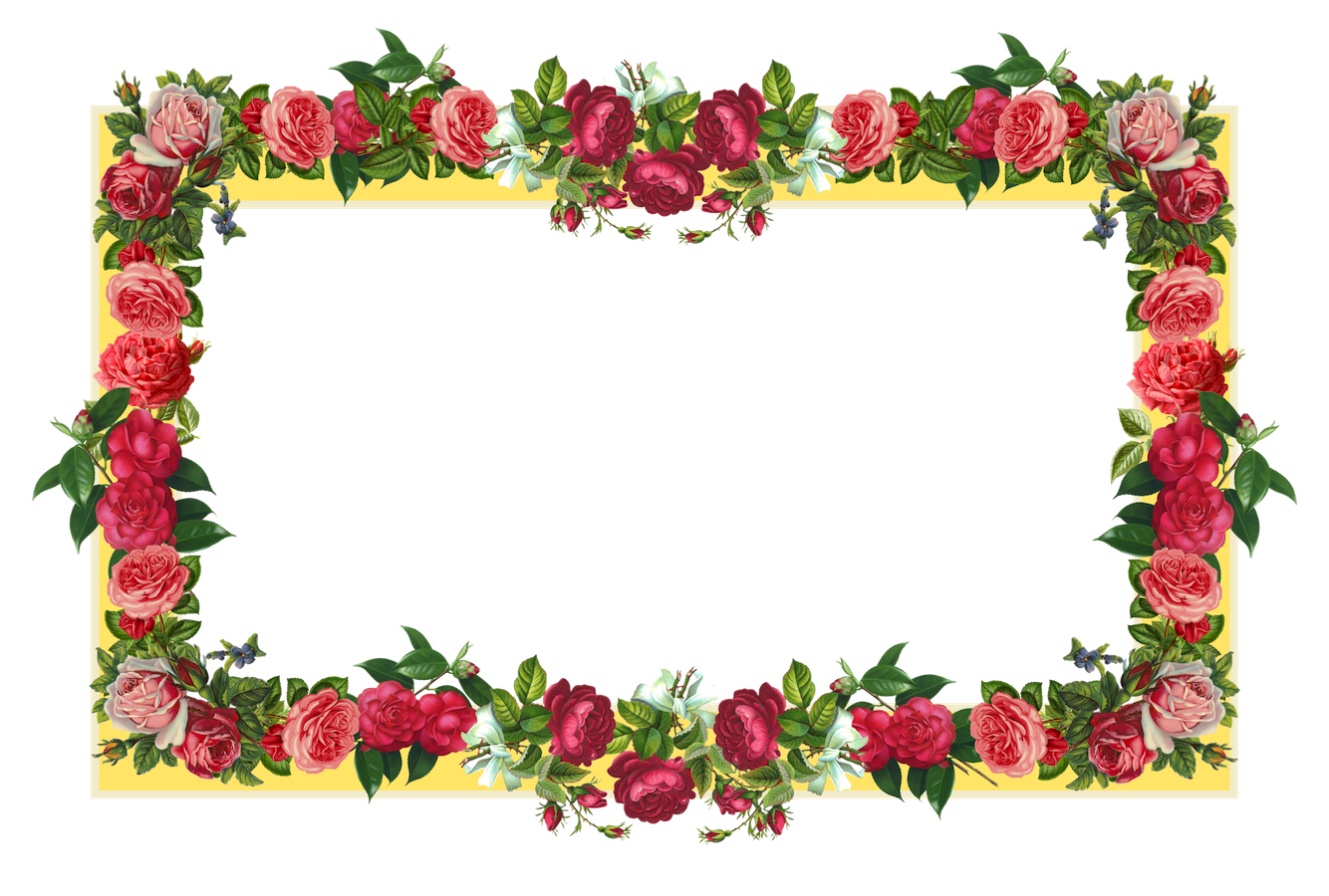 Flowers Borders PNG Images