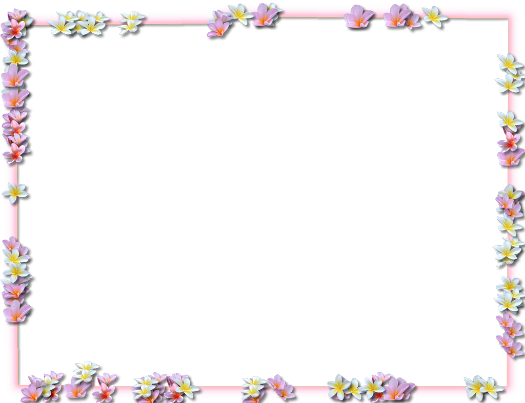 Flowers Borders PNG Pic