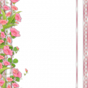 Flowers Borders PNG Picture