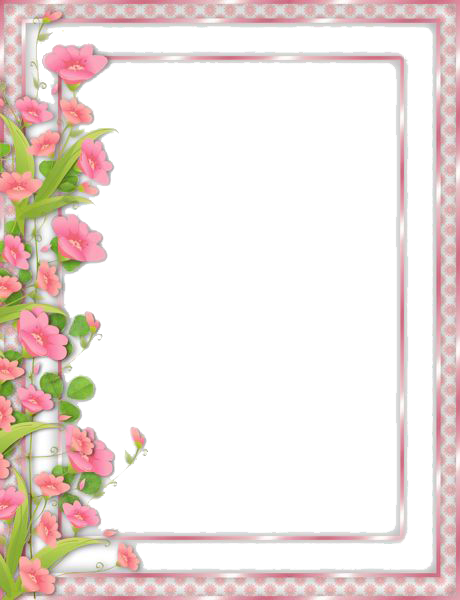 Flowers Borders PNG Picture