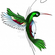 Hummingbird tatoeages downloaden PNG