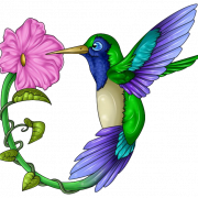 Hummingbird tatoeages gratis downloaden PNG