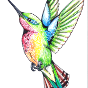 Tatouages ​​de colibri png clipart