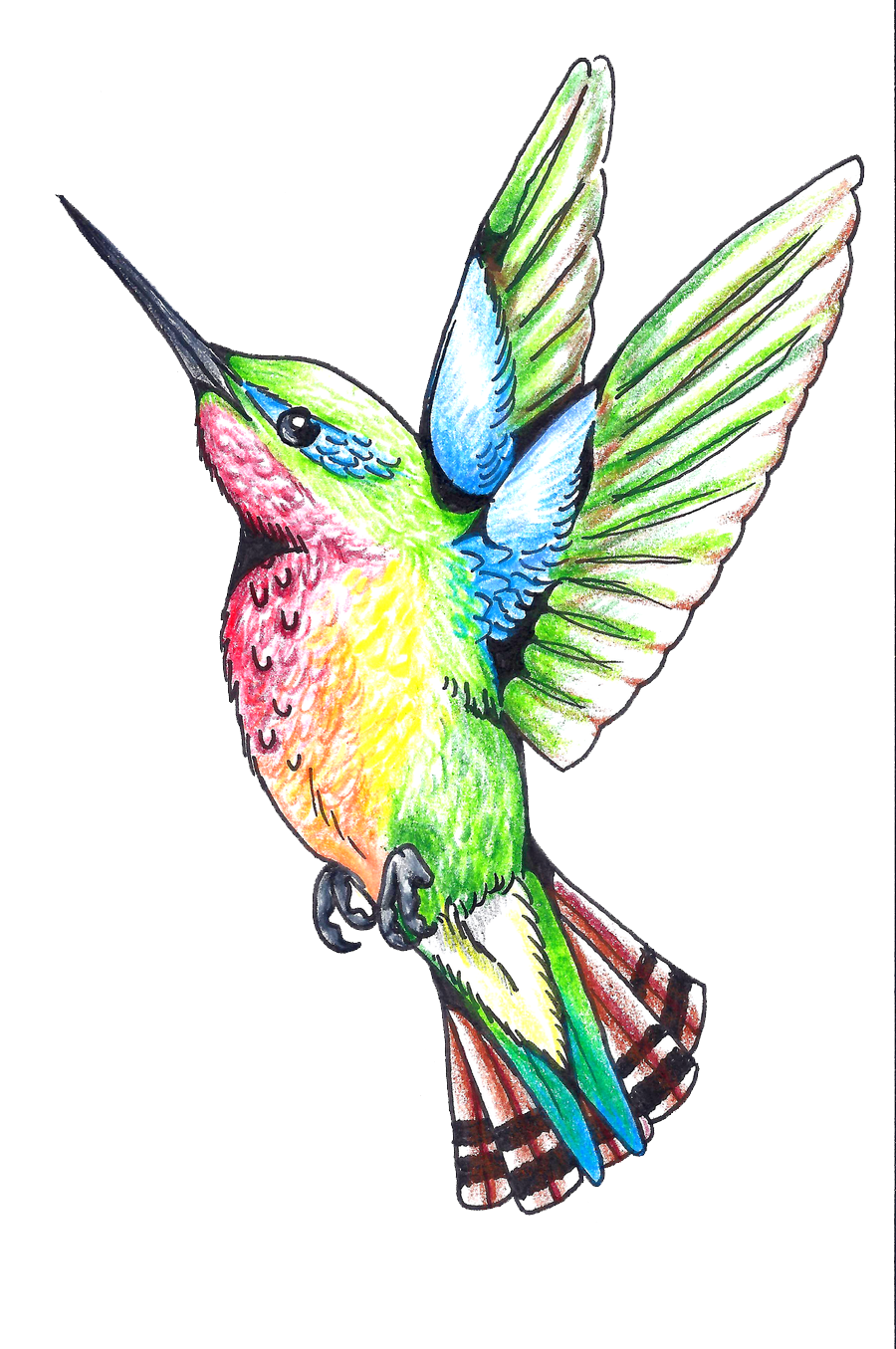 Tatuaggi colibrì png clipart