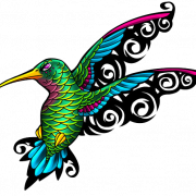 File png tatuaggi colibrì