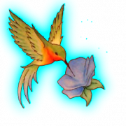 Kolibri -Tattoos PNG HD