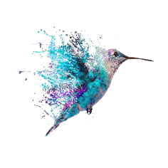 Hummingbird Tattoos PNG Image