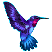 Kolibri -Tattoos png Bild