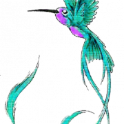 Gambar png tato hummingbird