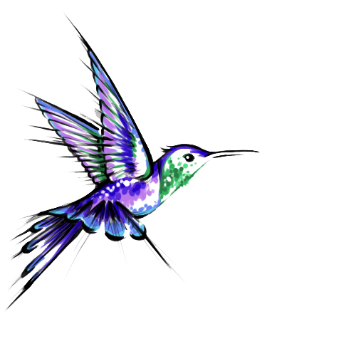 Tatuaggi colibrì trasparenti